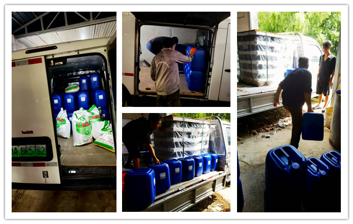 康恩贝发货4_副本-1